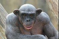 Фотография Сынкова Ярослава