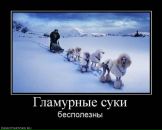 Александр Касапенко фотография #17 (источник - https://vk.com/id10534896)