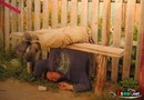 Валік Хаммер фотография #21 (источник - https://vk.com/id43723916)