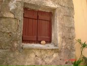 Фотография Боднарь Валерии