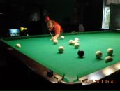 Сергій Тинянко фотография #13 (источник - https://vk.com/id33543342)