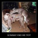 Богдан Посікіра фотография #50 (источник - https://vk.com/id58787466)