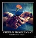 Виола Χохлова фотография #13 (источник - https://vk.com/id185536756)