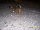 Іра Калиняк фотография #5 (источник - https://vk.com/id37693312)