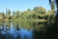 Игорь Матарыкин фотография #29 (источник - https://vk.com/id422203)