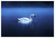 Фотография Максименковой Лены