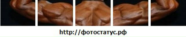 Іван Коваль фотография #26 (источник - https://vk.com/id72231170)