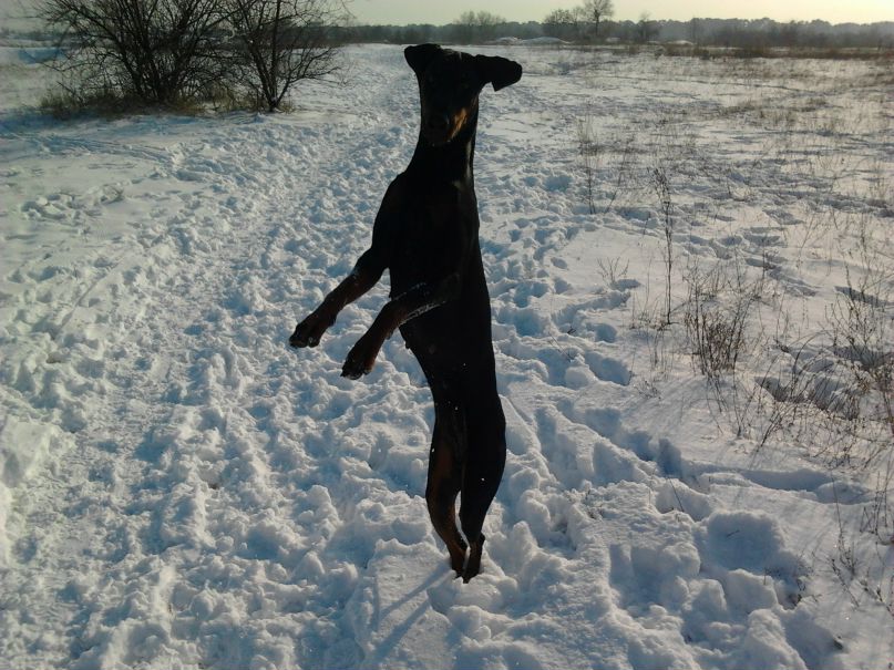 Тёмке Беляев фотография #3