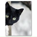 Фотография Andreeva Uliana