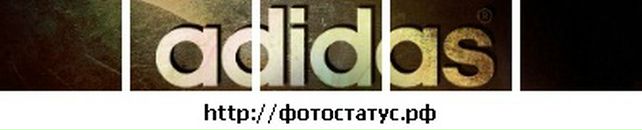 Віталік Василик фотография #8 (источник - https://vk.com/id137585643)