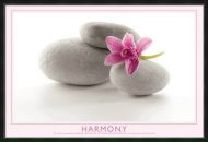 Фотография Карташовой Ольги