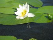 Фотография Борисовой Татьяны