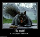 Андрій Весоловський фотография #36 (источник - https://vk.com/id59541133)