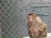 Фотография Ковшуна Андрея