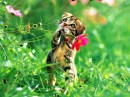 Іванка Вишнева фотография #50 (источник - https://vk.com/id66843773)