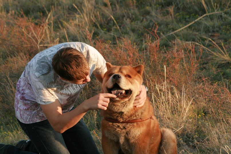 Orlov Ivan фотография #40