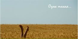 Юля Рыбалка фотография #50 (источник - https://vk.com/id8073528)