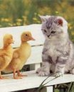 Ніка Чижович фотография #2 (источник - https://vk.com/id168110492)