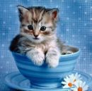 Софійка Гачок фотография #23 (источник - https://vk.com/id139633023)