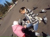 Вікусічка Січкоріз фотография #25 (источник - https://vk.com/id82463977)