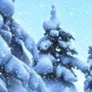 Інна Яценович фотография #45 (источник - https://vk.com/id141948747)