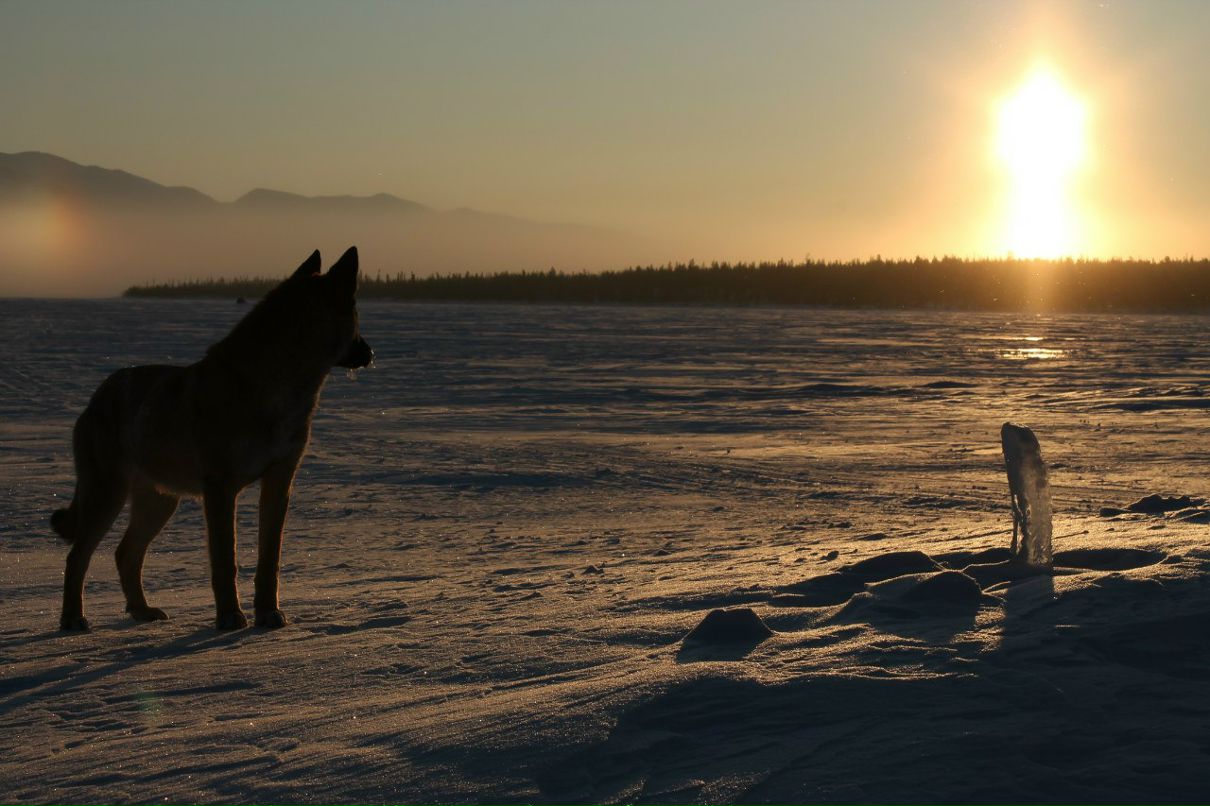 Игорь Тимофеев фотография #5