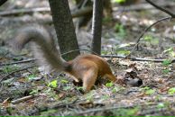 Константин Басалаев фотография #47 (источник - https://vk.com/id257097)