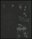 Úlfhéðnar . фотография #9 (источник - https://vk.com/id152303747)