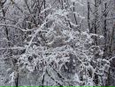 Вячеслав Кріт фотография #50 (источник - https://vk.com/id163187449)