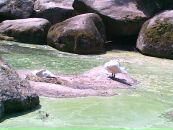 Міша Тригуб фотография #33 (источник - https://vk.com/id33896452)