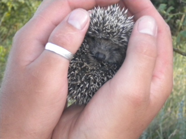 Сергей Лтвиненко фотография #20