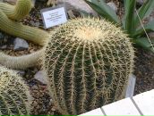 Світлана Савіцька фотография #39 (источник - https://vk.com/id91957355)