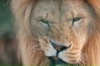 Slash Dot фотография #32 (источник - https://vk.com/id614985)