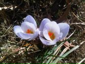 Фотография Тумановой Юлии