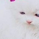 Юлічка Love фотография #41 (источник - https://vk.com/id143113296)