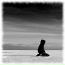 Фотография Байгильдиной Ирины