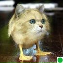 Фотография Гиля Михаила