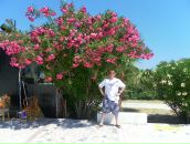 Фотография Евстратенко Галина