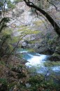 Роман Уваров фотография #29 (источник - https://vk.com/id21058381)