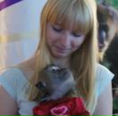 Фотография Горсков Дмитрий