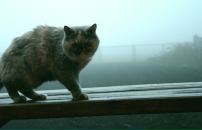 Фотография Масловой Ангелины