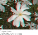 Фотография Марина