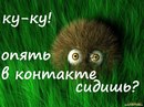 Кетрі Кошель фотография #1