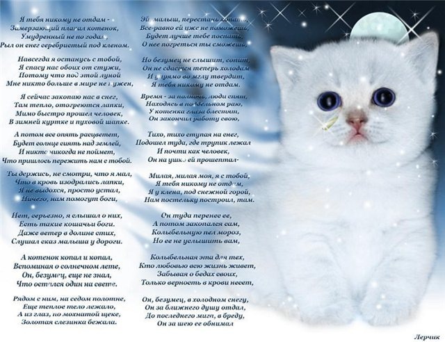 Ирусик Ткаченко фотография #42