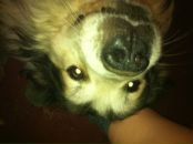 Фотография Ветрова Мария