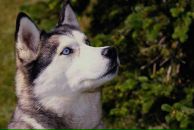 Фотография Пузиковой Оли