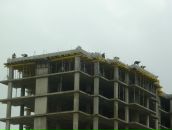 Дмитрий Челокьян фотография #24 (источник - https://vk.com/id10055984)