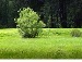 Максим Демідов фотография #25 (источник - https://vk.com/id132148990)