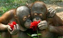 Фотография Шашневой Анюты