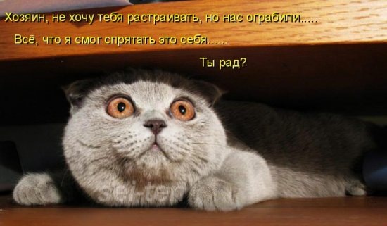 №14, Ангелина Ярославцева №14, Ангелина Ярославцева